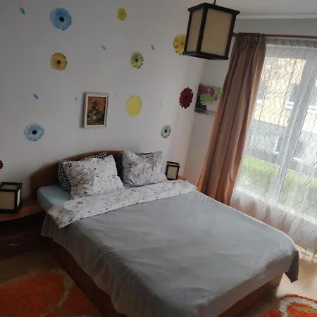 Avantgarden1 .apartament Lux 公寓 布拉索夫